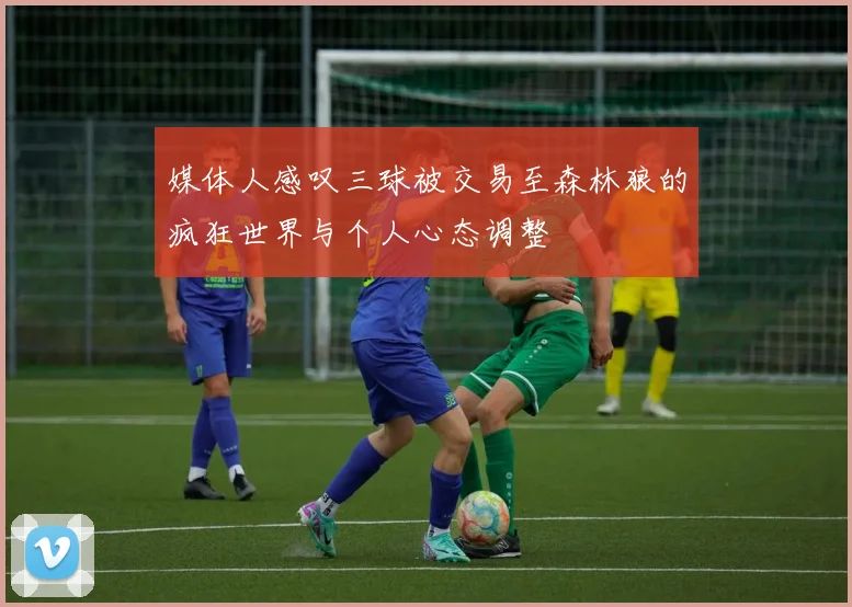 媒体人感叹三球被交易至森林狼的疯狂世界与个人心态调整